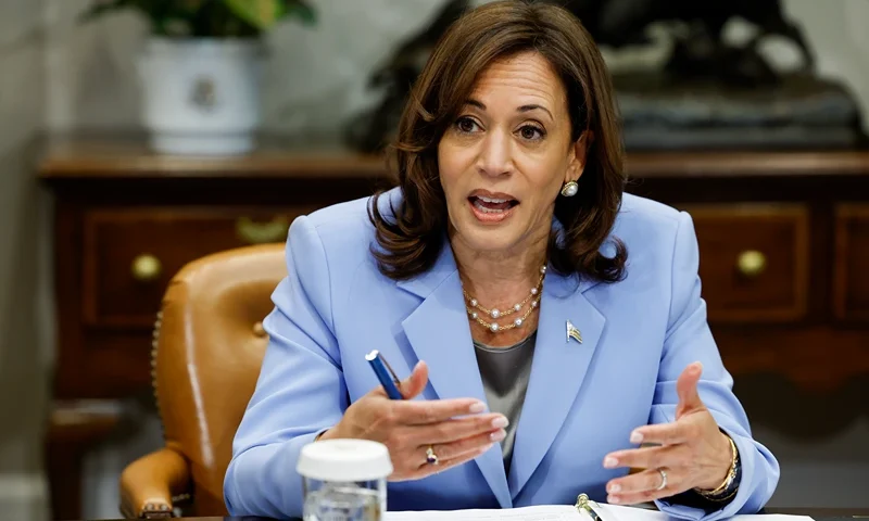 Vice President Harris Meets With The Task Force On Reproductive Health Care Access WASHINGTON, DC - APRIL 12: U.S. Vice President Kamala Harris speaks during the start of a meeting with the Biden administration’s Task Force on Reproductive Health Care Access in the Roosevelt Room of the White House on April 12, 2023 in Washington, DC. The task force met to discuss how the administration will help protect citizens' access to abortions in the wake of the Texas district court’s decision on medication abortion. (Photo by Anna Moneymaker/Getty Images)