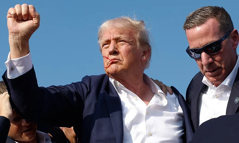 Donald Trump Injured During Shooting At Campaign Rally In Butler, PA BUTLER, PENNSYLVANIA - JULY 13: Republican presidential candidate former President Donald Trump pumps his fist as he is rushed offstage by U.S. Secret Service agents after being grazed by a bullet during a rally on July 13, 2024 in Butler, Pennsylvania. Butler County district attorney Richard Goldinger said the shooter is dead after grazing former U.S. President Donald Trump with a bullet, killing one audience member and injuring another in the shooting. (Photo by Anna Moneymaker/Getty Images)