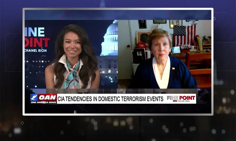 Video still from Fine Point on One America News Network showing a split screen of the host on the left side, and on the right side is the guest, Clare Lopez.